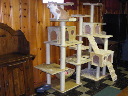 DIY cat perches | Foxflat's Blog